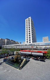 19-0779